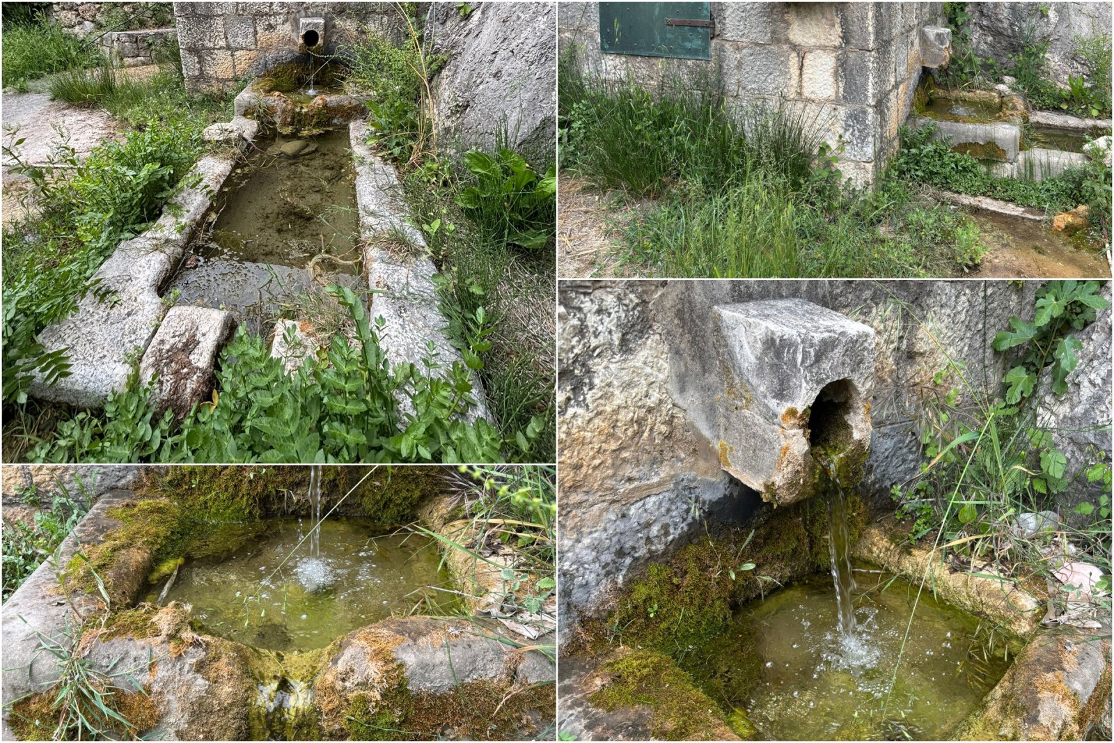 AKCIJA 'ČISTI IZVOR'